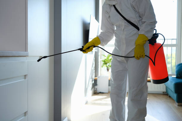 Best Industrial Mold Remediation in Mcrae Helena, GA